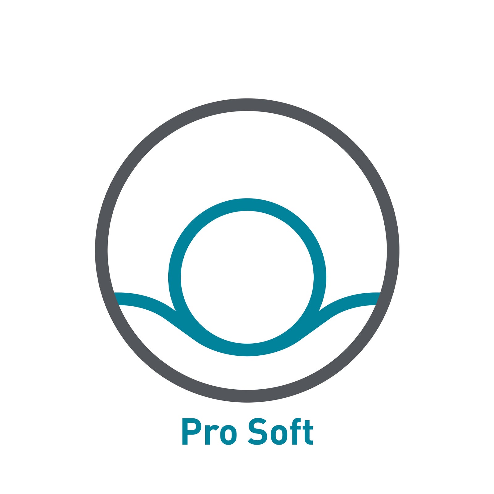 TEMPUR Pro soft mit Icon und Kissen