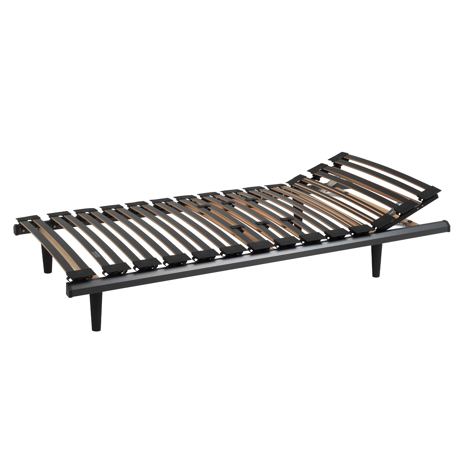 Verdi Flex Flach 2024